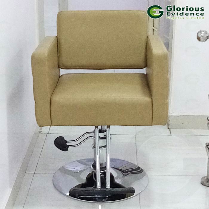 Classic Salon Chair Y192
